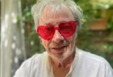 Hervé Vilard Fortune