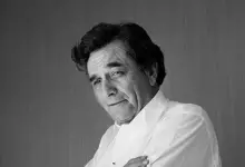 Peter Falk Fortune