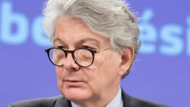 Thierry Breton Fortune