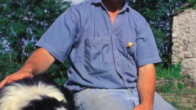 José Bové Fortune