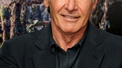 Harrison Ford Fortune
