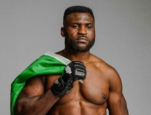 Francis Ngannou Fortune